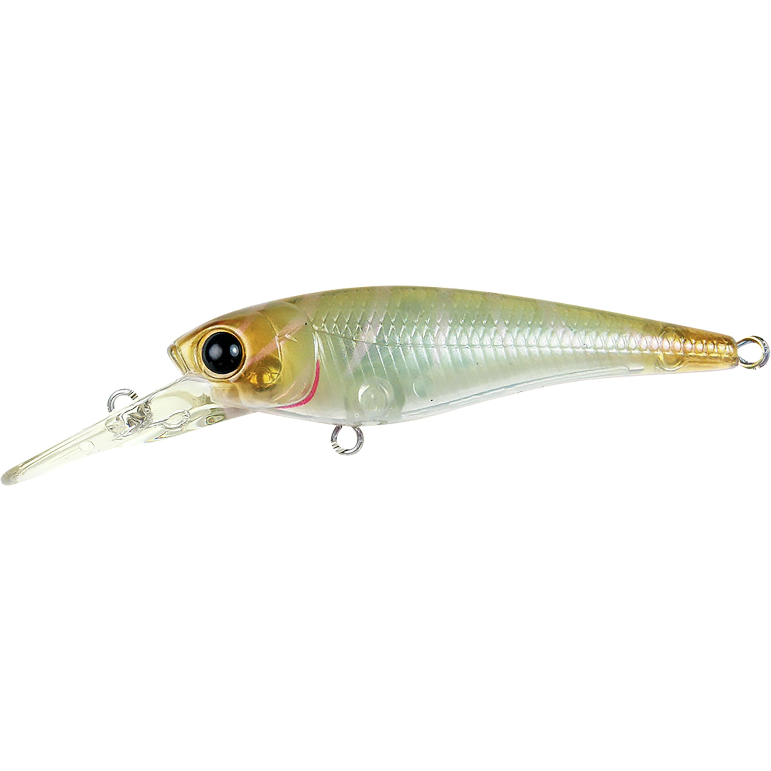 Lucky Craft (LUCKY CRAFT) Baby Shad (5640 Kitoki and Moebi, 50SP Silent/Suspending