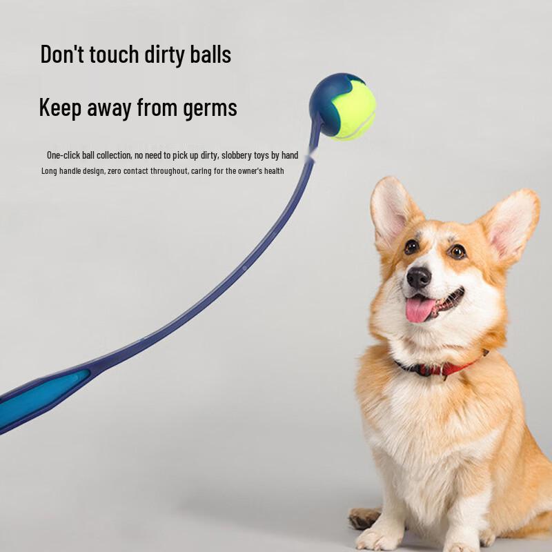 Dog Interactive Fetch Toy Set