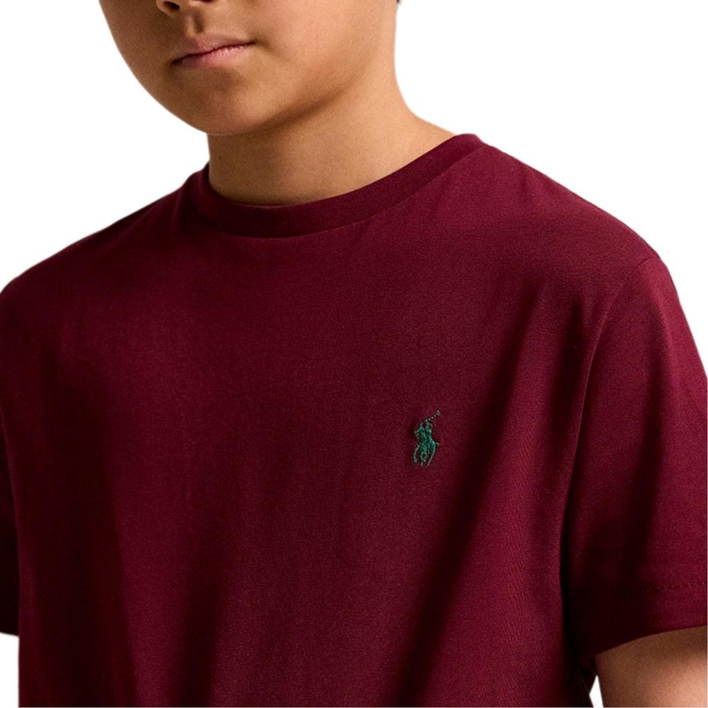 Polo Ralph Lauren Embroidered Pattern Round Neck Short Sleeve T-Shirt Kids Tops 323832904-200