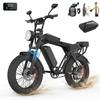 Aairsk X5 Adult Electric Bike 750W Motor 48V 15Ah Lithium Battery 20 Inch Fat Snow Tires Off-Road E-Bike for All Terrain Riding