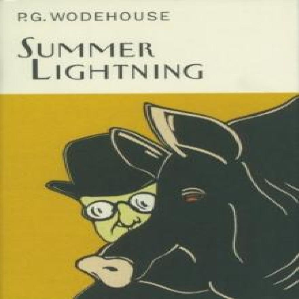 Summer Lightning by P.G. Wodehouse Hardback Book 9781841591094