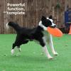 DOG-O-SOAR Brinquedo flutuante resistente a mordidas para cães Frisbee