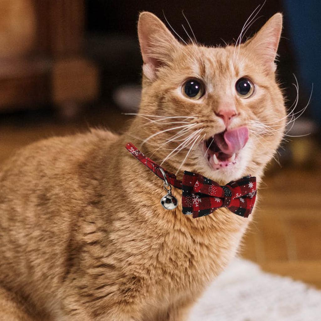 detachable cat collar