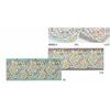Kawashima Selkon Textiles MINTON Kitchen Mat, Garden Nature, Blue-Green, 50 x 150 cm, FT1230