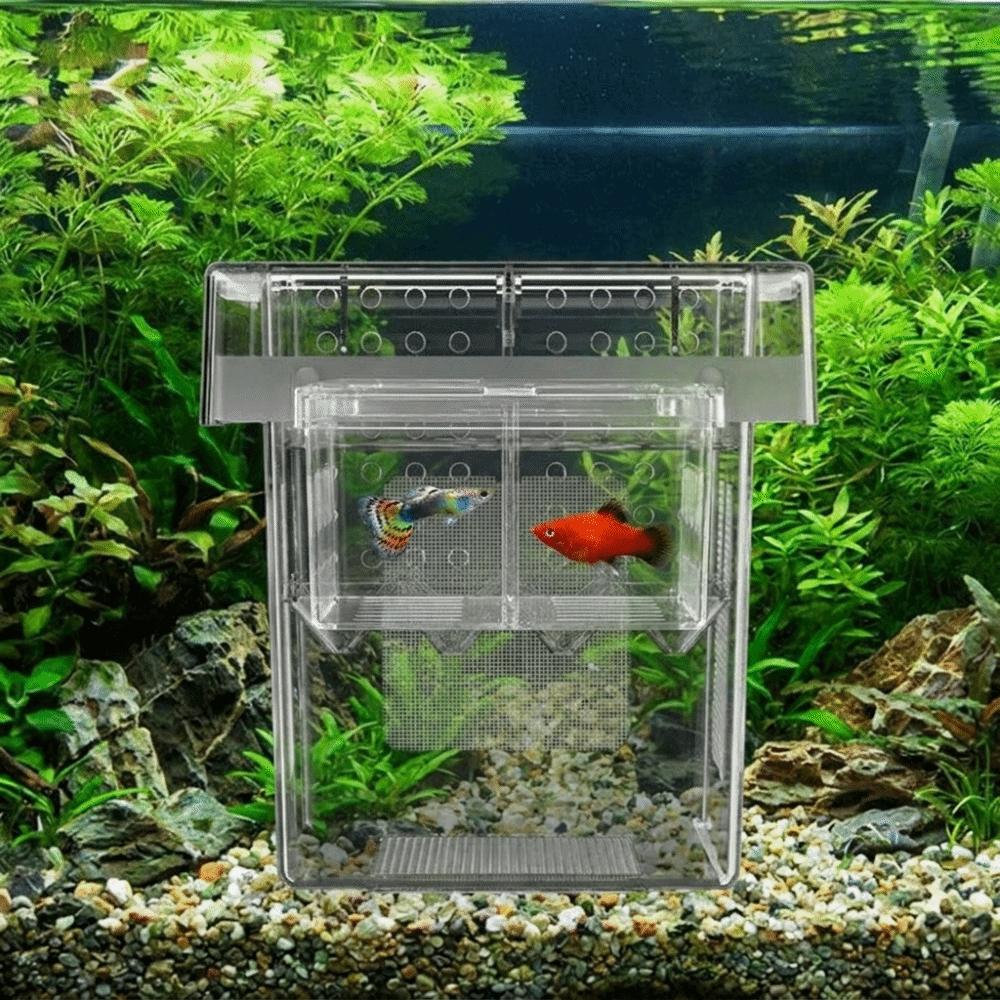 Detachable Fish Breeding Isolation Box Floating Guppy Breeder Box Fish Tank Divider Aquarium