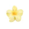 Hawaiian Style Gradient Flower Crab Hair Clips for Women Plumeria Barrettes Beach Vacation Hair Claw for Thin/Thick Hair Accessories