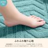AYO Bath for Entryways and Bathrooms Mat, Absorbent, Washable, Quick-Drying, Fluffy, Microfiber, Non-Slip, 4060cm, Large, Green,