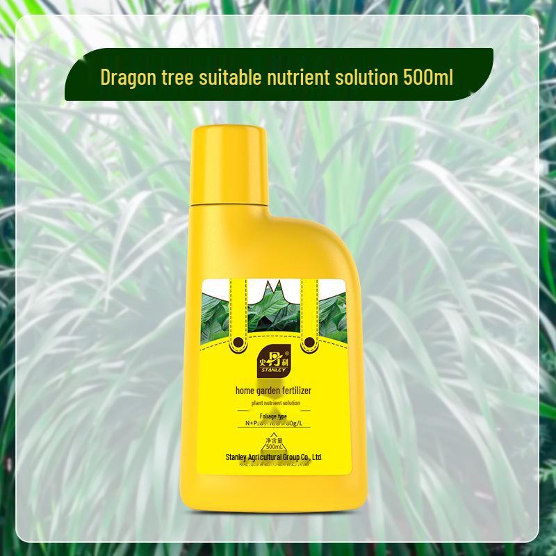 Stanley Dragon Tree Care: Nutrient Solution & General-Purpose Fertilizer for Healthy Green Plants