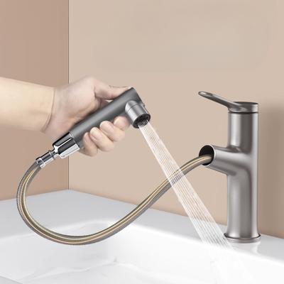 Pull-out Faucet Wash Basin Basin Hot and Cold Water Bathroom Toilet Wash Basin Faucet