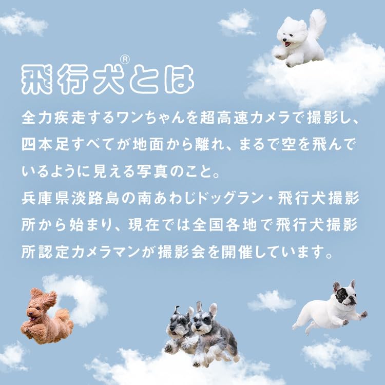 Parasol Flying Dog X Flying Sunshade Umbrella Mini Beige Light UV and Rain Folding Umbrella Stylish Cute Commuting School 2026Wpc. Wpc. One-Breath