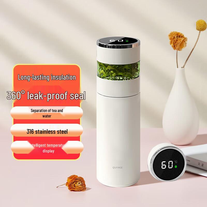 Smart Stainless Steel Thermos with LED Temperature Display and Tea Infuser