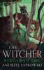Baptism of Fire by Andrzej Sapkowski Hardback Book 9781399611107