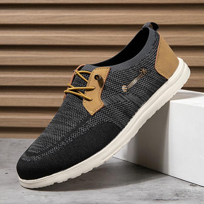 Pantofi Noi de Primăvară pentru Bărbați Pantofi Casual de Pânză Respirabili cu Talpă Plată Pantofi de Skateboard Ușori Loaferi Slip-on