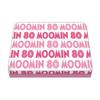 Marimo Craft Moomin Accessory Case 80th Anniversary Pink W100 X H20 X D68mm MOM-763