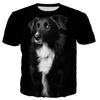 3D Leisure Printing Border Collie New Fashion Men/women T Shirt Tops Short Sleeve T-Shirt