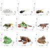 Simulation Of Red-Eyed Frog Horned Frog Triangular Dead-Leaf Frog Growth Cycle Static Model Frog Growth Process Ornament