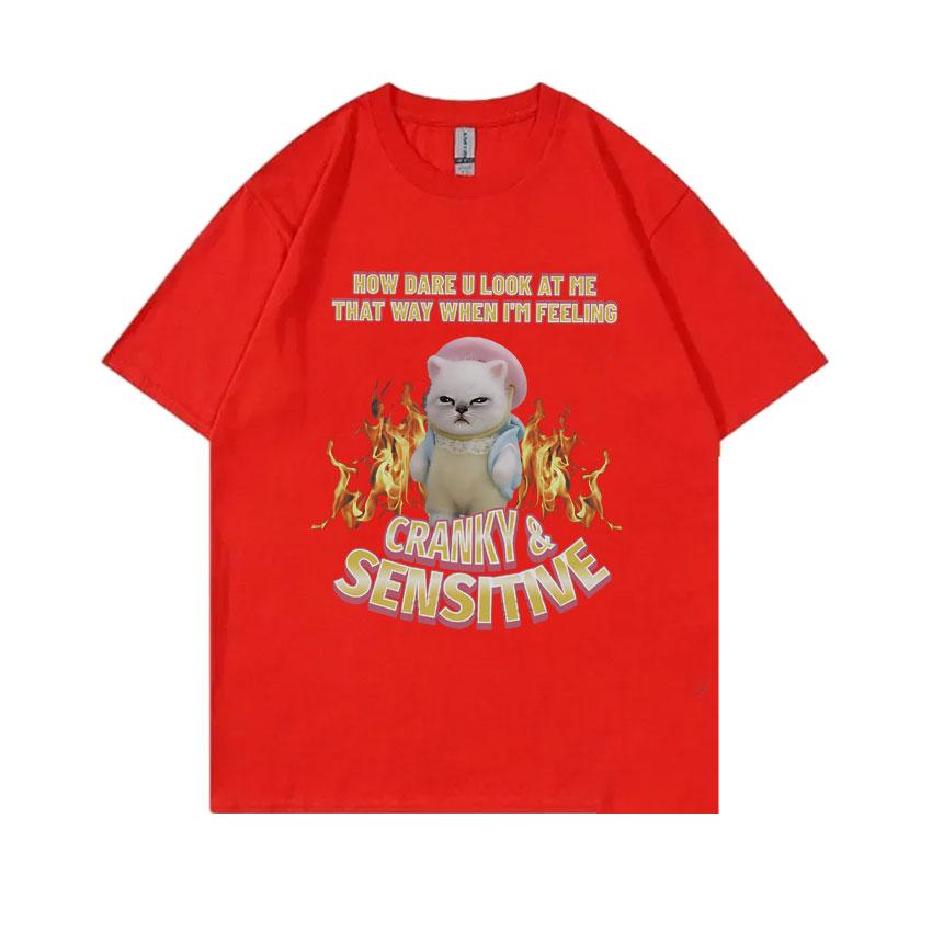 

How Dare U Look At Me That Way When Im Feeling Cranky Sensitive Kawaii Cat Funny Meme Tshirt Unisex Women Casual Cotton T Shirts S