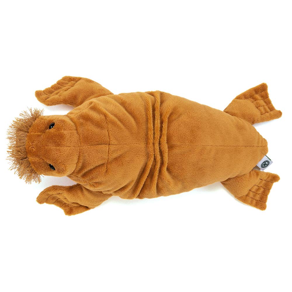 Calorata Walrus Plush Toy Realistic Animal Toy Doll Gift Present Birthday Christmas Present (Large/Reclining Series/Soft Touch) (Twice Measured) /