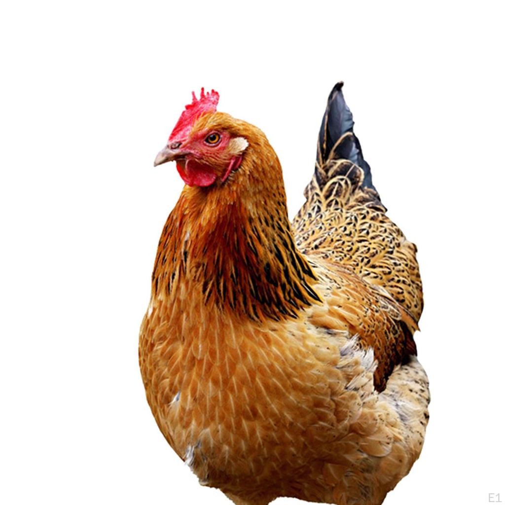 Elegante Henne-Gartenskulptur aus Metall für die Außendekoration