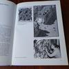 [USED] ESCHER 25 TASCHEN