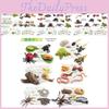 25 Piece Realistic Insect Growth Cycle Card Set Featuring Worm Ladybug Dragonfly Frog Snail Models