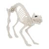 Party Supplies – Halloween Accessories