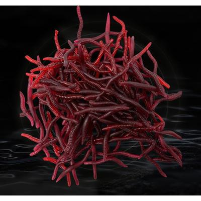 100pcs Earthworm Deep Red Soft Worm Bait Fake Baits Artificial Biomimicry Worm Luya Water Flea Sea Long 3.5cm Strip Fishy Smell