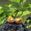 2023 1pcs Tortoise Model For Doll House HomeFairy Garden Miniatures Terrarium Desktop Succulents Micro Landscape Decoration