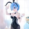 Starting Life in Another World BiCute Bunnies Figure Rem bicolor ReZero -