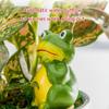 4pcs Self-Watering Terracotta Frog Planter for Indoor Outdoor Plant Reservoir