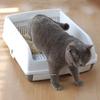 Semi-automatic Cat Litter Box Drawer Type Splash-proof Enclosed Tray Deodorizing Training Sandbox Pets Supplies Auto Cleaning