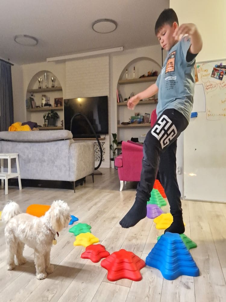 Sensory Path River Stones Childrens Balancing Stones Stepping Stones Motor Skills and Coordination Starfish 11 Pcs