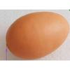 Neustadt Food Samples Realistic Vegetables Eggs Set of 12 Food Samples Model Display Children Play Kit K0113