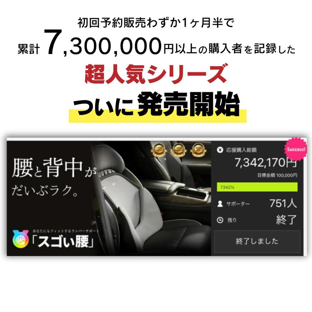 Sugoi Waist Lumbar Support Lumbar Cushion Car Cushion Gray