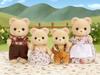 Sylvanian Families Dolls ST Mark Ages 3 and Toy Sylvanian Epoch [Bear Family] FS-04 Certified, Up, Dollhouse, Families,