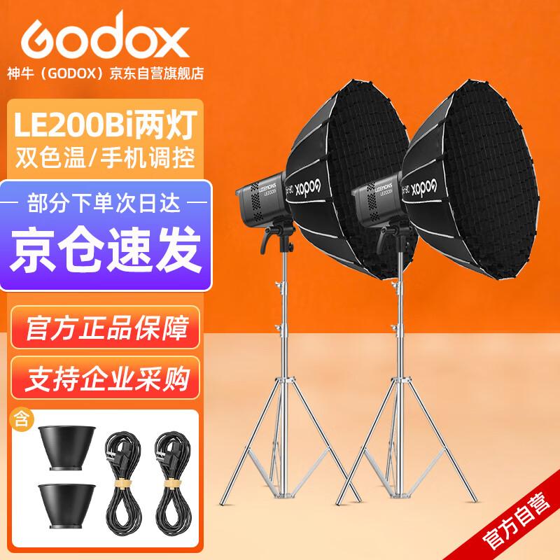 Godox LE200Bi / LE300Bi Bi-Color LED Video Light Kit
