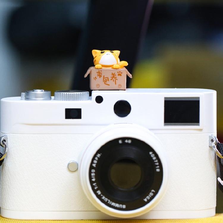 3D kreslený kryt sáněk fotoaparátu Roztomilý pro kočku DSLR Prachotěsný kryt sáněk pro DS