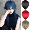 Perruques Synthétiques Mullet avec Frange Droite Perruques Hommes Anime Queue de Lou Longue Perruque Cosplay Fête