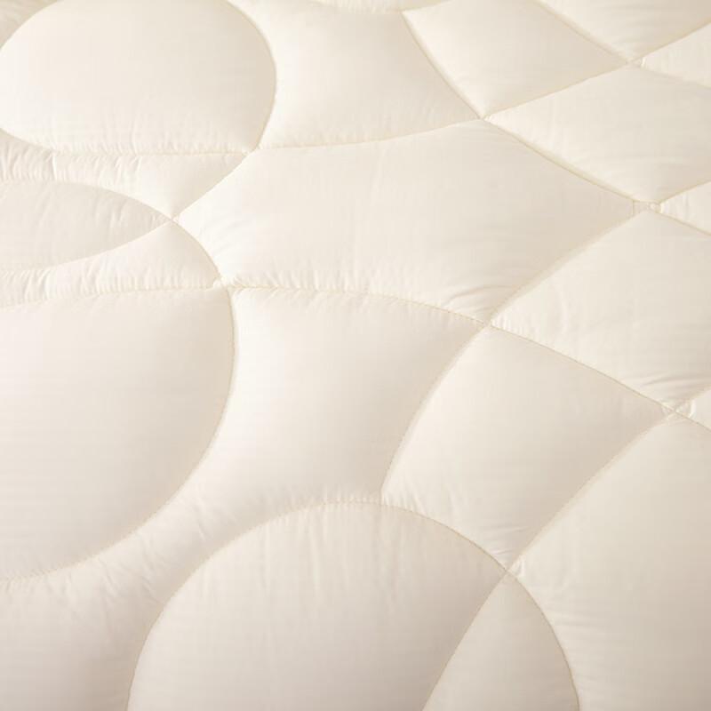 Nanjiren 100% Wool Winter Quilt