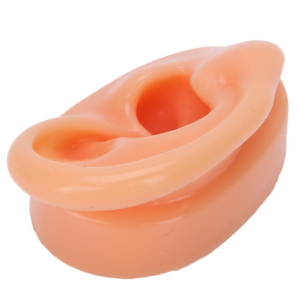 Silicone Right Ear Model Simulation Artificial Ear Display Model for Hearing Aids