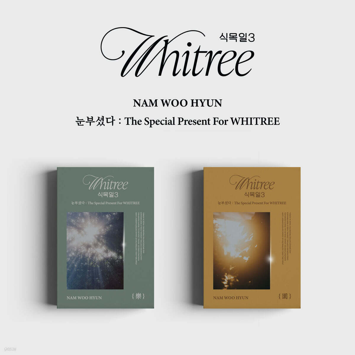 

Nam Woo Hyun - Dazzling : The Special Present For WHITREE (Arbor Day 3 Live Ver.) [2 Kinds SET]