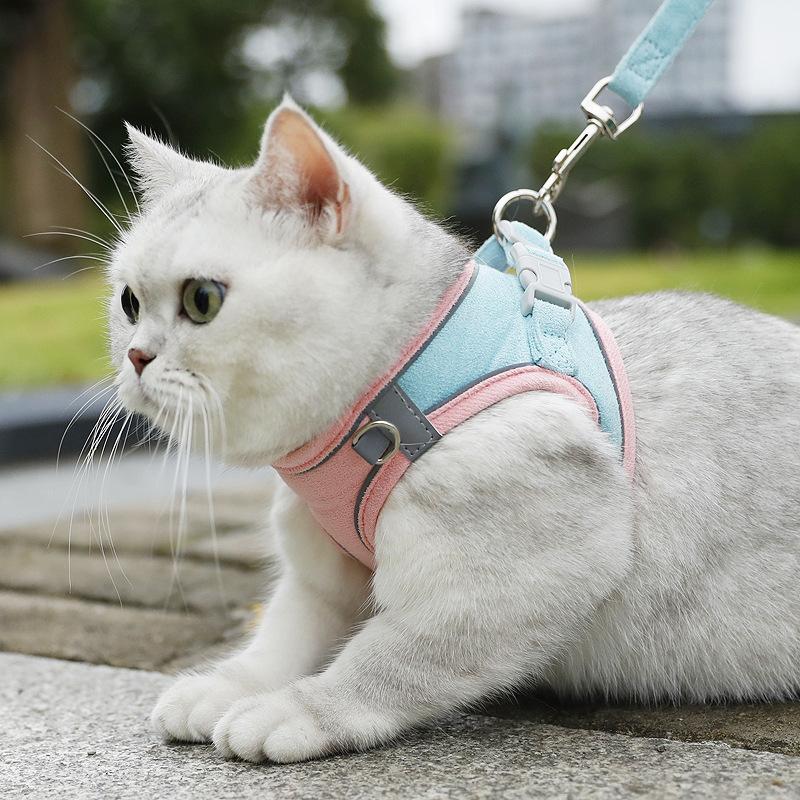 Pet Chest and Back Straps, Small Dog Vest Style Dog Leash, Dog Walking Leash, Cat Supplies, Breathable and Reflective