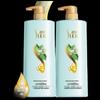 Shu Lei Green Tea Seed Anti-Dandruff & Oil Control Shampoo Twin Pack