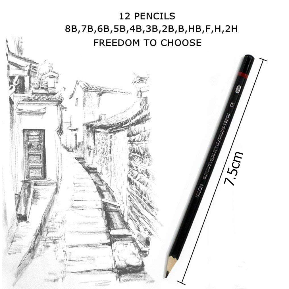 Professional Drawing Art Sketch Graphite Pencils,