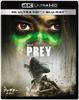 Audio/Video – Filmy