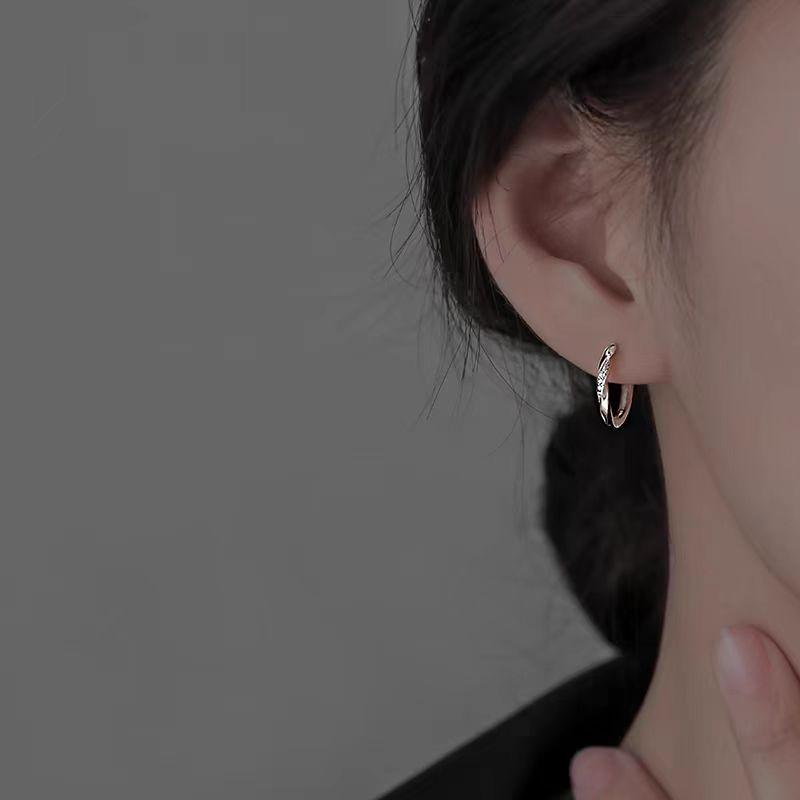 925 Sterling Silver Hoop Earrings: 2025 Modern Niche Design - Elegant & Luxurious for Women