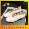 French with Skirt Single Shoes Gentle Evening Breeze Grandma Shoes Fashion Fairy Wind Mary Jane Shoes Female Summer Autumn