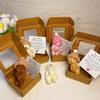 Handmade Mini Plush Teddy Bear in Box, Little Bear in A Box, My Little Worry Bears, Mini Pocket Bears Hug Plush with Emotional Uplifting Support
