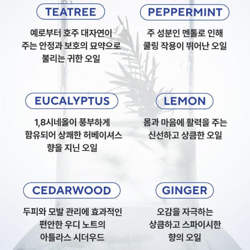 [Aromatica] Tea Tree Purifying Shampoo 400ml+Refill 400ml (Double Plan)/Olive Young Pick