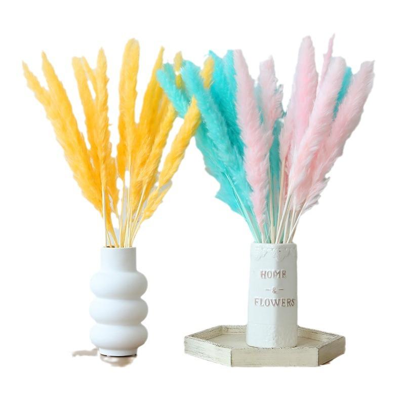 Small Reed Pampas Grass Dried Flower Special Offer Small Reed Dried Flower Bouquet Decoration Wedding Arrangement